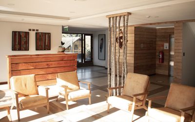 Hotel Pucón Indómito: la esencia del turismo boutique en la Araucanía