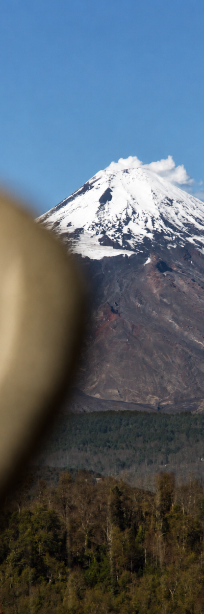 ChatGPT Image 20 jun 2026, 06_17_54 p.m.